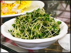 -绿色时代大酒店