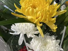 -上海望仙安息园