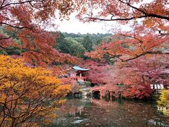 -醍醐寺