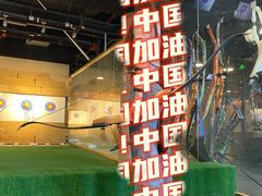 -i彻射箭俱乐部(新光界店)