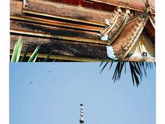 -西双版纳傣族园