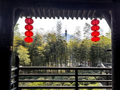 -大唐贡茶院