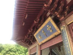 -西湖游船