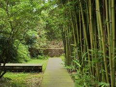 -鹿野苑石刻艺术博物馆