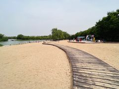 -大兴滨河森林公园