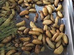 -昆虫窝子·特色云南菜(拓东路总店)