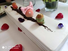 -蝶舍·MAISON PAPILLON