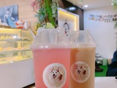 -Husky Go! 哈士奇体验馆·宠物咖啡厅狗咖