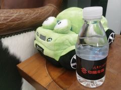 -天猫养车贴膜轻改·蓝电(优匹康桥东路店)