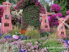 -莲花山公园