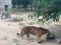 -北京野生动物园