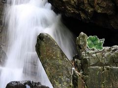 -藏龙百瀑风景区