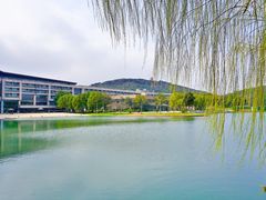 -上海佘山世茂艾美酒店