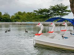 -广州莲花山旅游区
