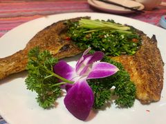 -香巴拉云南餐厅(华莱坞店)