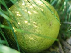 -浙江万里学院(钱湖校区)