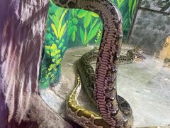 -西安秦岭野生动物园