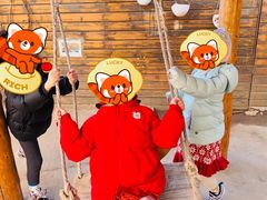 -世纪飞马幼儿园(西城校区)
