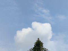 -勺湖公园