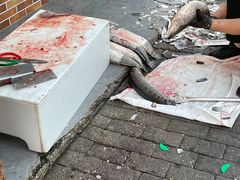 -老四川平头酸菜鱼(衙前店)