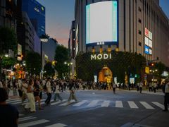 -涩谷区