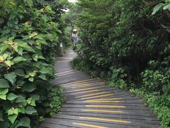 -六合朝阳景区-和尚套