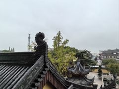 -上海东林寺(金山区)