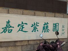 -嘉定紫藤园
