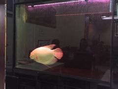 -万鑫鸡翅