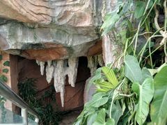 -北京植物园-展览温室