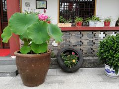 -龙湖东院农庄(乡间小路店)