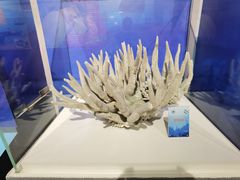 -中国地质博物馆