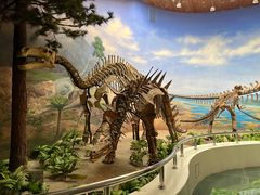 -延庆地质公园博物馆