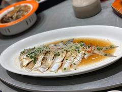 酒香蒸拉花大鲳鱼-好福记饭店(红梅公园店)