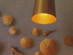 -额尔敦牛厨师铜板烧