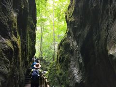 -牛背梁国家森林公园