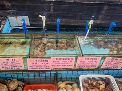 -荔城生鲜盛宴(番禺旗舰店)