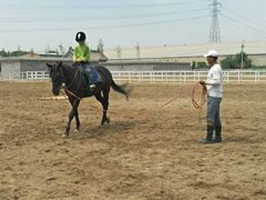 -月河湾马术俱乐部(朝阳店)