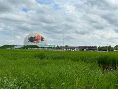 -黑龙江扎龙生态旅游区