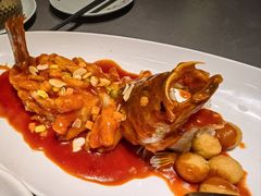 特色松鼠鱼（苏州招牌菜）-姑苏家宴·苏帮菜·松鼠桂鱼(苏州总店)