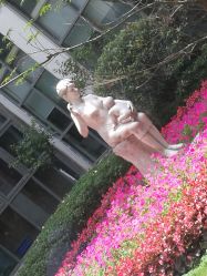 -上海市嘉定区妇幼保健院
