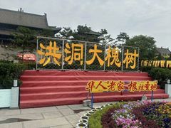 -大槐树寻根祭祖园
