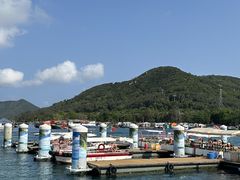 -蓝湾碧波·老字号·疍家非遗海上餐厅