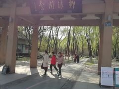-柳浪闻莺公园