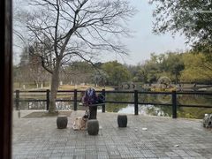 -绿荫坊餐厅(共青森林公园店)