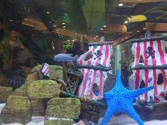 -成都浩海立方海洋公园