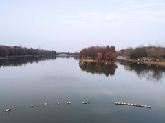 -苏州东太湖生态园