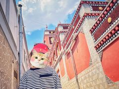 -塔尔寺