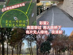 -上海山野camping·户外天幕烧烤·团建拓展营地