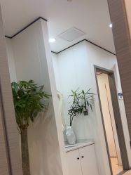 -郑荃丽格医疗美容